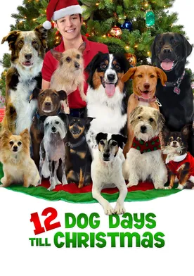 Poster 12 días perros hasta Navidad