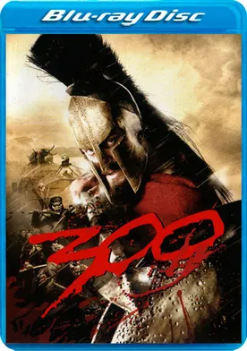 Poster 300