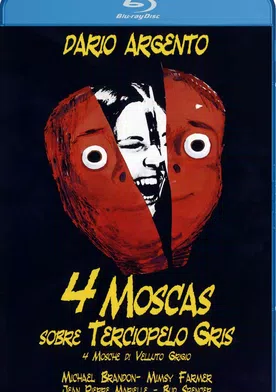 Poster de 4 moscas de terciopelo gris