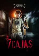 Poster 7 cajas