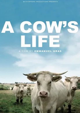 Poster A Cow's Life