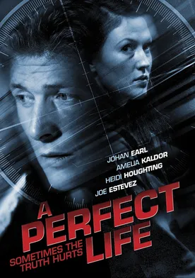 Poster A Perfect Life