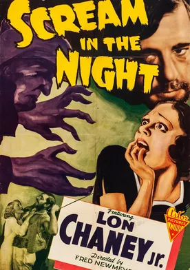 Poster A Scream in the Night