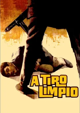 Poster de A tiro limpio