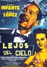 Poster de Ahora soy rico