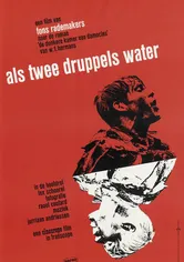 Poster Als twee druppels water