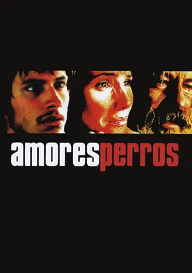 Poster Amores perros