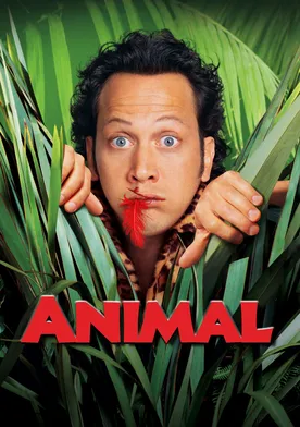 Poster Animal