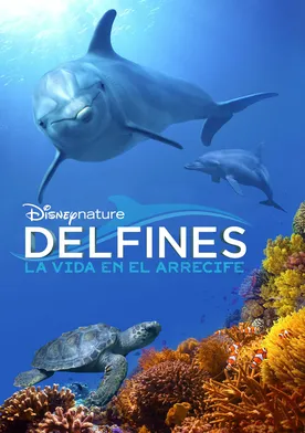 Poster Arrecifes de delfines