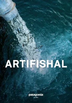 Poster Artifishal