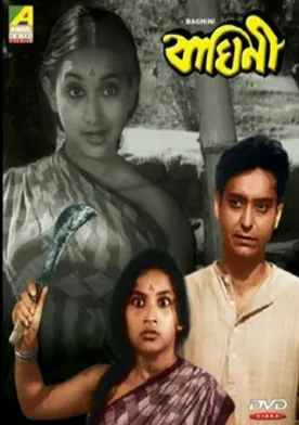 Poster Baghini