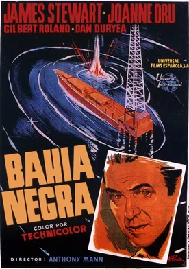 Poster Bahía negra