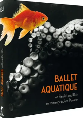 Poster Ballet aquatique