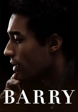 Poster Barry