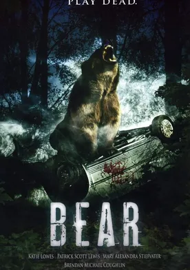 Poster Bear