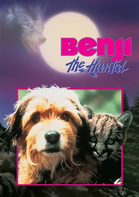 Poster Benji el perseguido