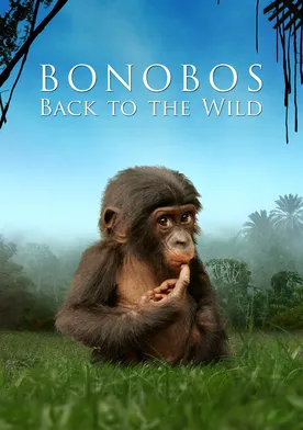 Poster Beny: Back to the Wild