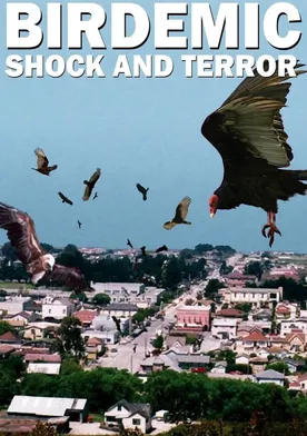 Poster de Birdemic: Shock and Terror