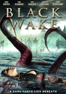 Poster Black Wake