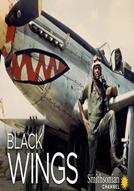 Poster de Black Wings