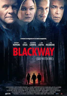 Poster de Go with Me