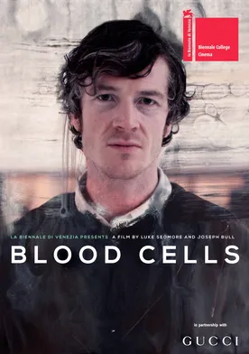 Poster Blood Cells