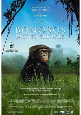 Poster Bonobos: Back to the Wild