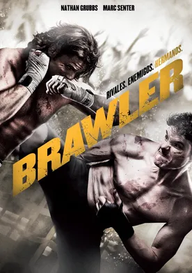 Poster Brawler