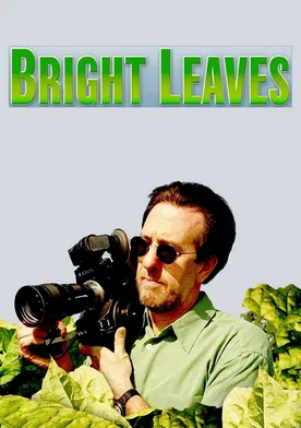 Poster Bright Leaves