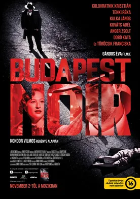 Poster Budapest Noir