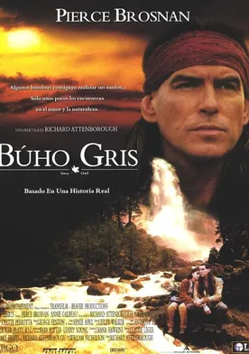 Poster Búho gris