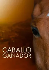 Poster Caballo ganador