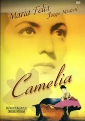 Poster Camelia