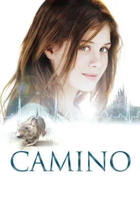 Poster Camino