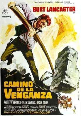 Poster Camino de la venganza