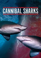 Poster Cannibal Sharks