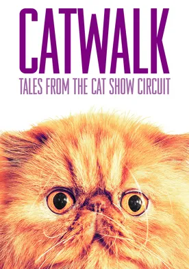 Poster Catwalk: Tales from the Cat Show Circuit