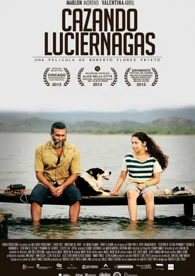 Poster Cazando luciérnagas