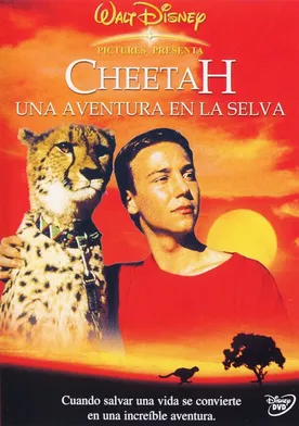 Poster Cheetah, una aventura africana