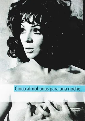 Poster de Cinco almohadas para una noche