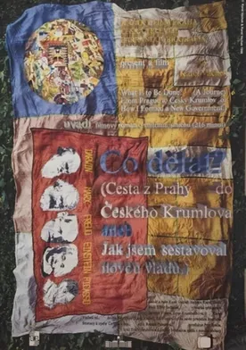 Poster de Co delat?