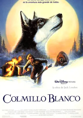 Poster Colmillo blanco