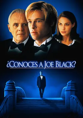 Poster ¿Conoces a Joe Black?