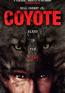 Poster Coyote