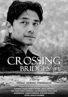 Poster Crossing Bridges