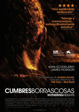 Poster Cumbres borrascosas