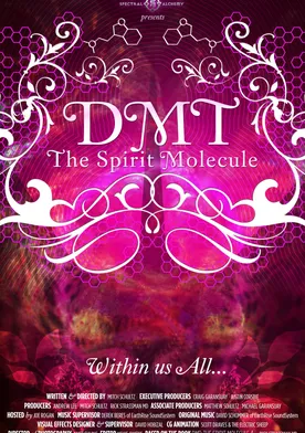 Poster DMT: The Spirit Molecule