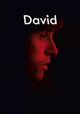 Poster David