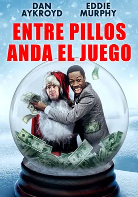 Poster De mendigo a millonario