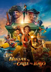 Poster de De piraten van hiernaast: De ninja's van de overkant